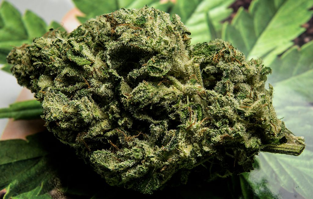 Understanding THCa Flower Lab Testing